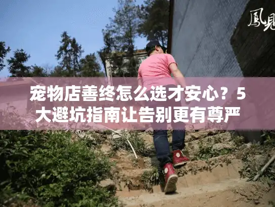 宠物店善终怎么选才安心？5大避坑指南让告别更有尊严