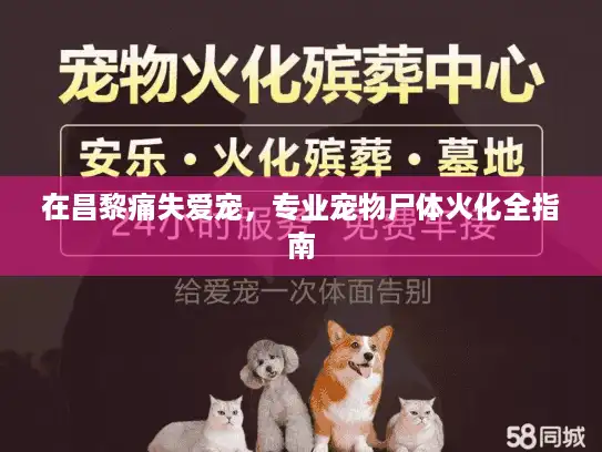 在昌黎痛失爱宠，专业宠物尸体火化全指南