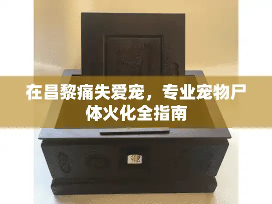 在昌黎痛失爱宠，专业宠物尸体火化全指南