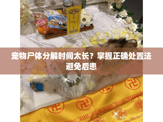 宠物尸体分解时间太长？掌握正确处置法避免后患