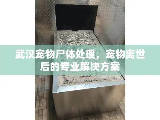 武汉宠物尸体处理，宠物离世后的专业解决方案
