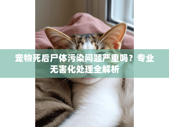 宠物死后尸体污染问题严重吗？专业无害化处理全解析