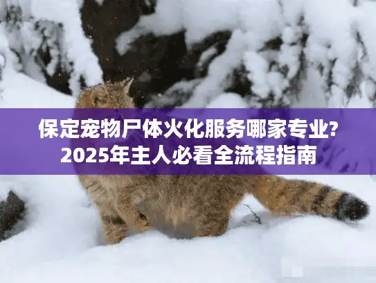 保定宠物尸体火化服务哪家专业?2025年主人必看全流程指南