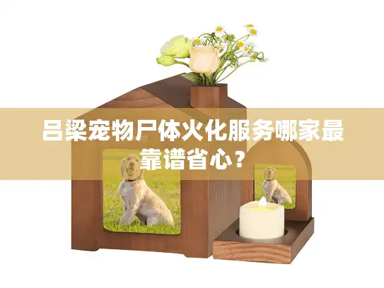 吕梁宠物尸体火化服务哪家最靠谱省心？