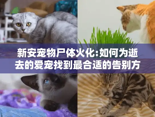 新安宠物尸体火化:如何为逝去的爱宠找到最合适的告别方式?