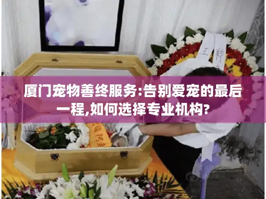 厦门宠物善终服务:告别爱宠的最后一程,如何选择专业机构? 厦门宠物善终服务:告别爱宠的最后一程,如何选择专业机构?