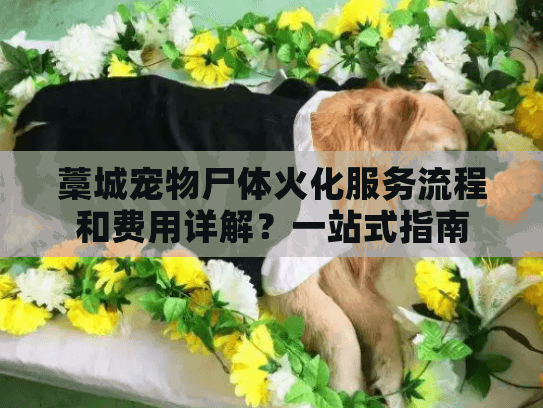 藁城宠物尸体火化服务流程和费用详解？一站式指南