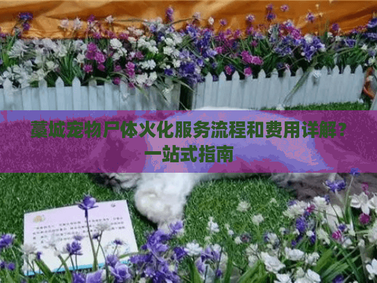 藁城宠物尸体火化服务流程和费用详解？一站式指南