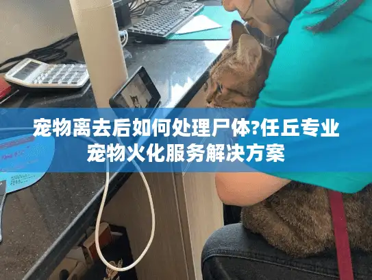 宠物离去后如何处理尸体?任丘专业宠物火化服务解决方案