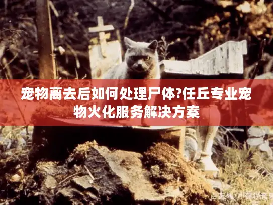宠物离去后如何处理尸体?任丘专业宠物火化服务解决方案