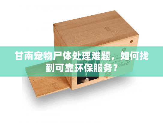 甘南宠物尸体处理难题，如何找到可靠环保服务？