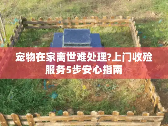 宠物在家离世难处理?上门收殓服务5步安心指南 宠物在家离世难处理?上门收殓服务5步安心指南