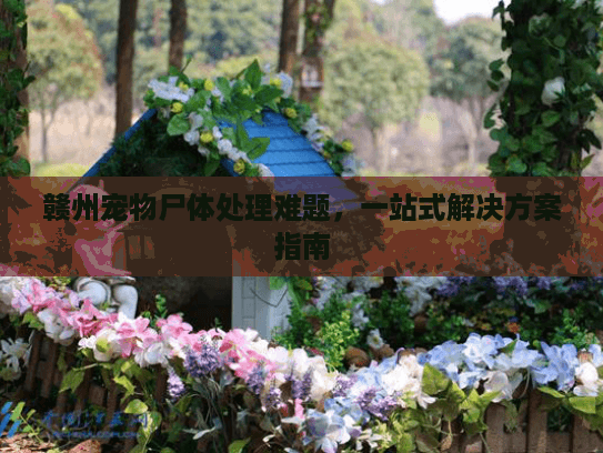 赣州宠物尸体处理难题，一站式解决方案指南