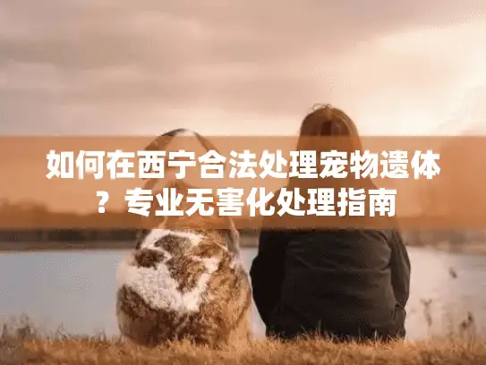 如何在西宁合法处理宠物遗体？专业无害化处理指南