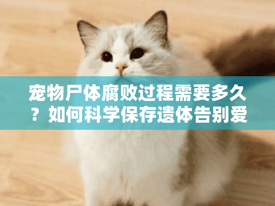 宠物尸体腐败过程需要多久?如何科学保存遗体告别爱宠 宠物尸体腐败过程需要多久?如何科学保存遗体告别爱宠