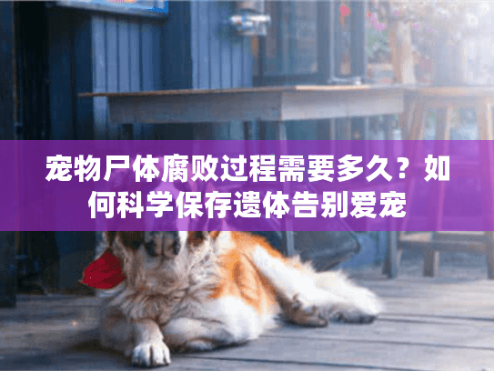 宠物尸体腐败过程需要多久?如何科学保存遗体告别爱宠 宠物尸体腐败过程需要多久?如何科学保存遗体告别爱宠