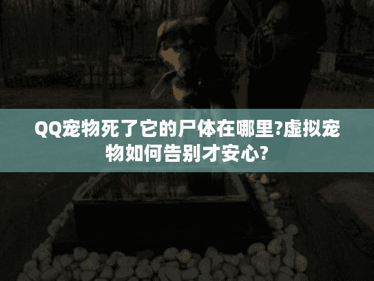 QQ宠物死了它的尸体在哪里?虚拟宠物如何告别才安心?