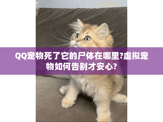QQ宠物死了它的尸体在哪里?虚拟宠物如何告别才安心?