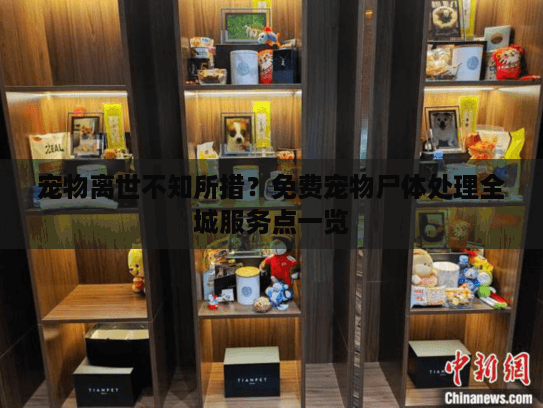 宠物离世不知所措？免费宠物尸体处理全城服务点一览