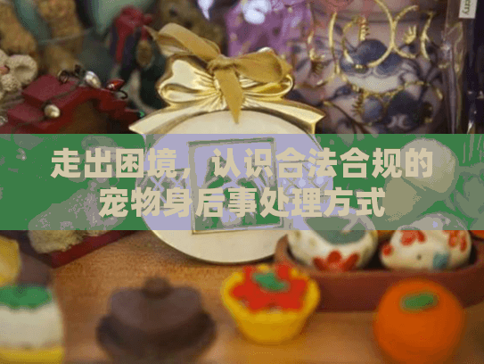 走出困境，认识合法合规的宠物身后事处理方式