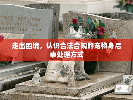 走出困境，认识合法合规的宠物身后事处理方式