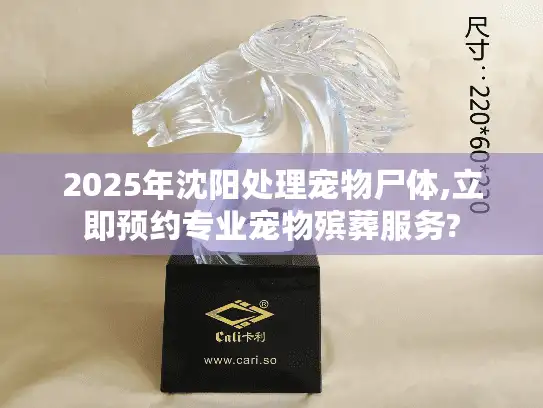 2025年沈阳处理宠物尸体,立即预约专业宠物殡葬服务?