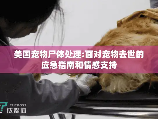 美国宠物尸体处理:面对宠物去世的应急指南和情感支持