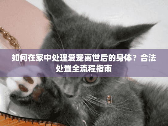 如何在家中处理爱宠离世后的身体？合法处置全流程指南