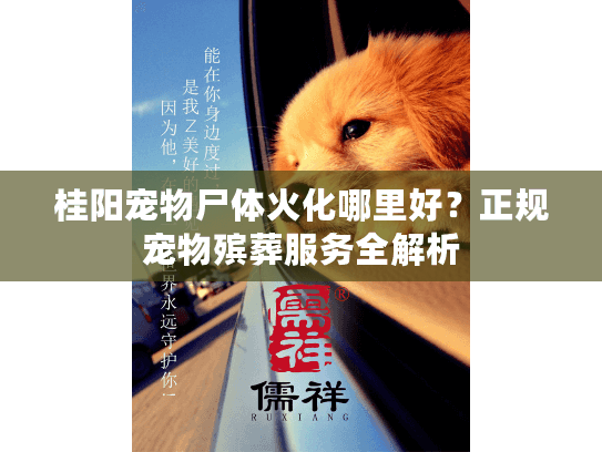 桂阳宠物尸体火化哪里好?正规宠物殡葬服务全解析 桂阳宠物尸体火化哪里好?正规宠物殡葬服务全解析