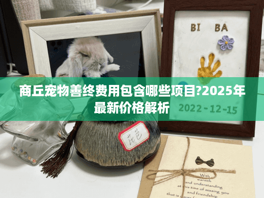 商丘宠物善终费用包含哪些项目?2025年最新价格解析