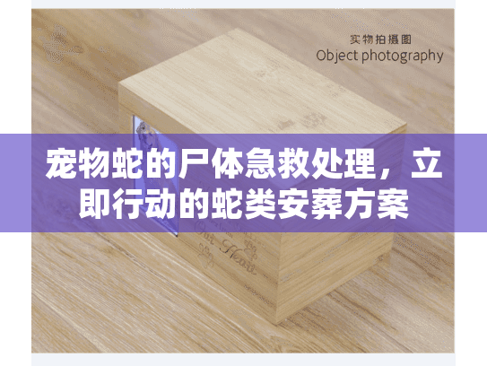 宠物蛇的尸体急救处理,立即行动的蛇类安葬方案 宠物蛇的尸体急救处理,立即行动的蛇类安葬方案