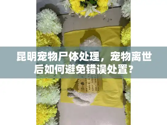 昆明宠物尸体处理，宠物离世后如何避免错误处置？
