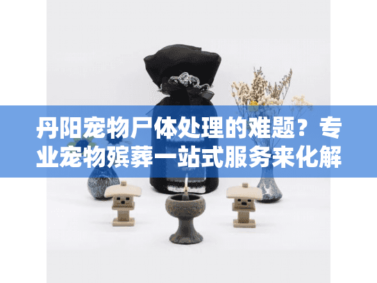 丹阳宠物尸体处理的难题？专业宠物殡葬一站式服务来化解