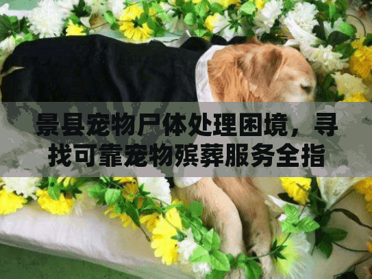 景县宠物尸体处理困境,寻找可靠宠物殡葬服务全指南 景县宠物尸体处理困境,寻找可靠宠物殡葬服务全指南