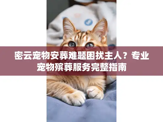 密云宠物安葬难题困扰主人?专业宠物殡葬服务完整指南 密云宠物安葬难题困扰主人?专业宠物殡葬服务完整指南