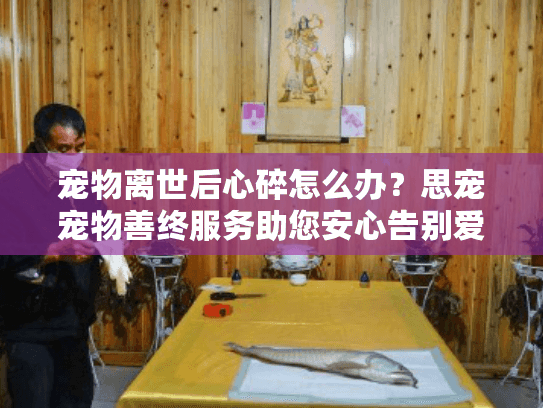宠物离世后心碎怎么办？思宠宠物善终服务助您安心告别爱宠