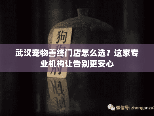 武汉宠物善终门店怎么选？这家专业机构让告别更安心