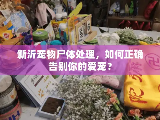 新沂宠物尸体处理,如何正确告别你的爱宠? 新沂宠物尸体处理,如何正确告别你的爱宠?