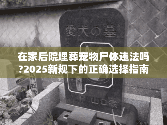 在家后院埋葬宠物尸体违法吗?2025新规下的正确选择指南