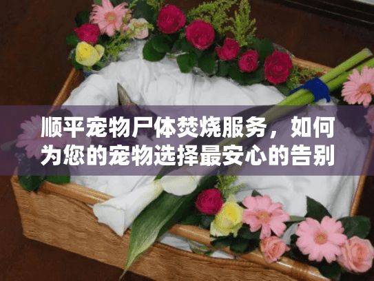 顺平宠物尸体焚烧服务，如何为您的宠物选择最安心的告别方式？