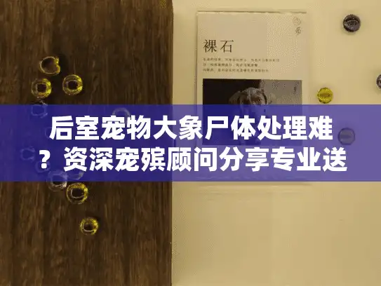 后室宠物大象尸体处理难?资深宠殡顾问分享专业送别方案 后室宠物大象尸体处理难?资深宠殡顾问分享专业送别方案