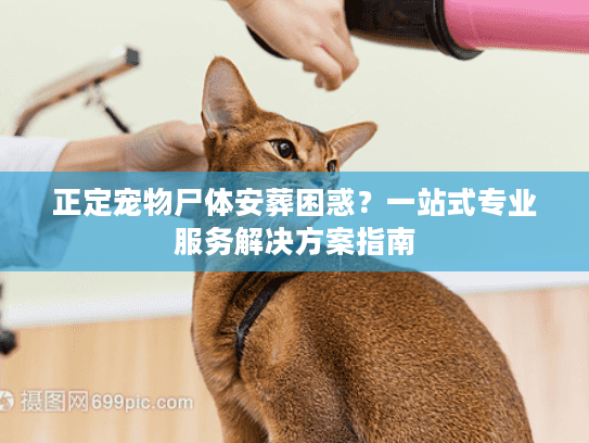 正定宠物尸体安葬困惑？一站式专业服务解决方案指南