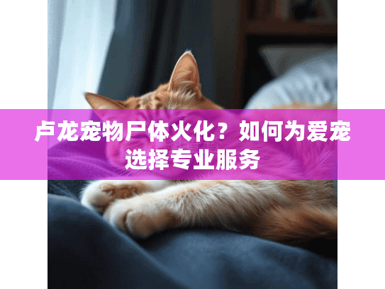 卢龙宠物尸体火化?如何为爱宠选择专业服务 卢龙宠物尸体火化?如何为爱宠选择专业服务