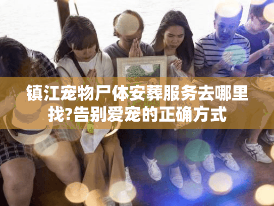 镇江宠物尸体安葬服务去哪里找?告别爱宠的正确方式