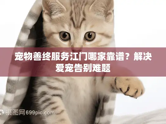 宠物善终服务江门哪家靠谱？解决爱宠告别难题