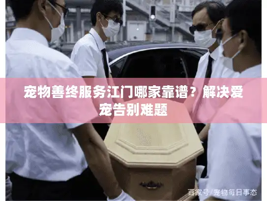 宠物善终服务江门哪家靠谱？解决爱宠告别难题