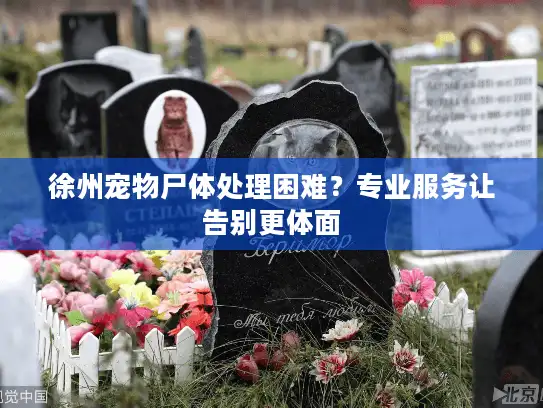 徐州宠物尸体处理困难?专业服务让告别更体面 徐州宠物尸体处理困难?专业服务让告别更体面