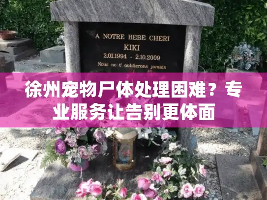 徐州宠物尸体处理困难?专业服务让告别更体面 徐州宠物尸体处理困难?专业服务让告别更体面