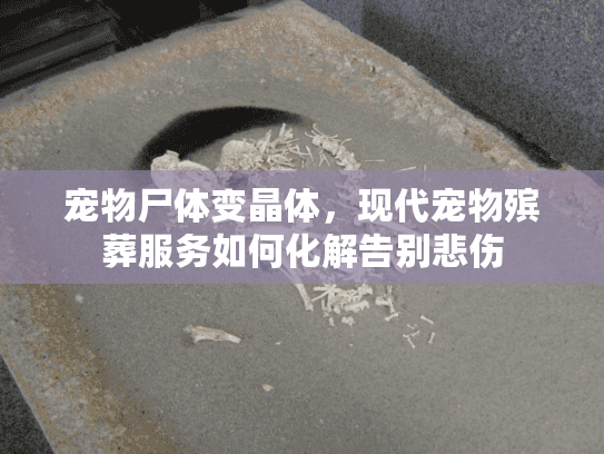 宠物尸体变晶体,现代宠物殡葬服务如何化解告别悲伤 宠物尸体变晶体,现代宠物殡葬服务如何化解告别悲伤