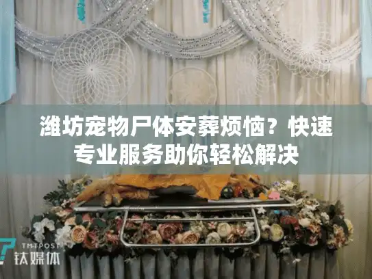潍坊宠物尸体安葬烦恼？快速专业服务助你轻松解决
